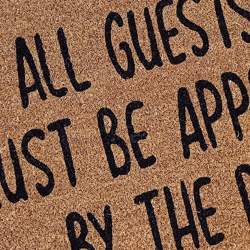 All Guests Coir Mat, 18x30 - Image 2
