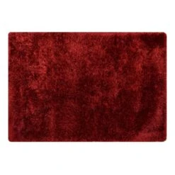 EVE RED SHAG ACCENT RUG 27X42